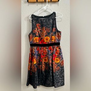 Beautiful perfect for Fall by Adrianna Papell